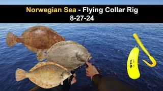 Russian Fishing 4, Norwegian Sea - Flying Collar Rig 8-27-24