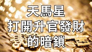 紫微斗數星座【天馬星】如何打開升官發財的暗鎖？麥可大叔30年紫微算命命理老師