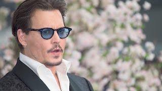 Fantastic Beasts Fans Want Johnny Depp Removed | Splash News TV