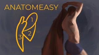 Drawing Shoulders Made Easy (3 Simple Shapes)