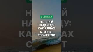 Не теряй надежду: Как Аллах стирает твои грехи. Абу Яхья Крымский #shorts