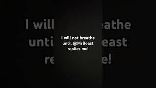 I will not breathe until @MrBeast replies me!