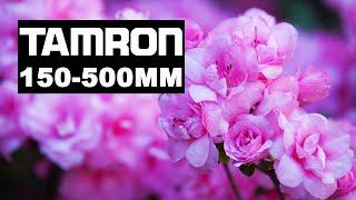 Tamron 150-500mm f/5-6.7 Di III VC VXD Lens for Sony Mirrorless Cameras | Hands On with Sal D'Alia