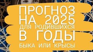 Прогноз на 2025 год для рождённых в годы Быка и Крысы | Годовой расклад таро