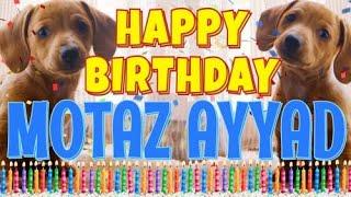 Happy Birthday Motaz Ayyad! ( Funny Talking Dogs ) What Is Free On My Birthday