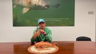 CCA Texas STAR Tournament 2021: How To CLIP the Tag from Tagged Redfish (Multiple Methods)