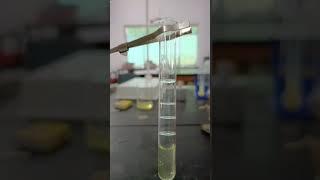 Millon's Reagent Test - Egg Albumin || Protein Test viral