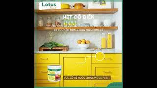 Sơn Phủ Màu Gỗ Cao Cấp Lotus Wood Paint