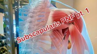 Subscapularis PNF pt.1