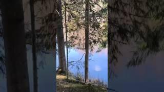Оредеж #летний сезон открыт #29.03.2025