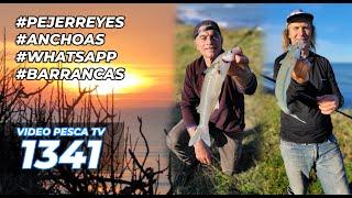 Silverside and anchovy fishing, visiting the ravines, fishermen's pictures, current events - Prog...