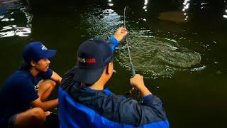 HIBURAN MALAM MANCING HAPPY, Galatama Lele Marlin MBT Ciawi - Bogor