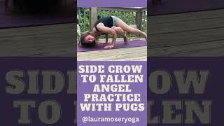 Side Crow to Fallen Angel Practice #yoga #seatedyoga #yinyoga #meditation