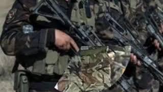 Günümüzdeki bordo bereliler ( TÜRKİYE )