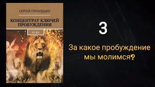 За КАКОЕ ПРОБУЖДЕНИЕ мы молимся?