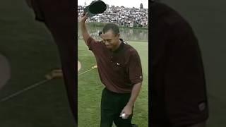 Is this the BEST shot of Tiger’s career? 