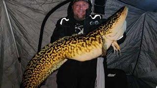 LAKE SIMCOE ICE FISHING (NEW Ontario Record BURBOT?)
