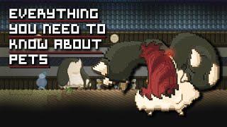 Starbound Tips | Everything you need to know about Pets