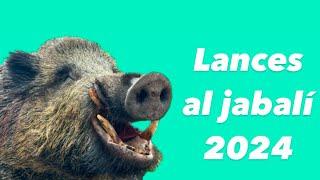 Lances al jabalí 2024