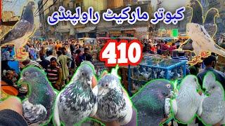 410 | Kabootar Mandi Rawalpindi | Latest Update High Flyer Pigeon Price 4/1/2025 کبوتر منڈی راولپنڈی