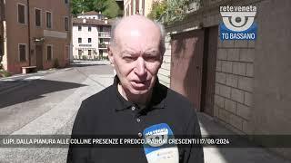 LUPI, DALLA PIANURA ALLE COLLINE PRESENZE E PREOCCUPAZIONI CRESCENTI | 17/09/2024