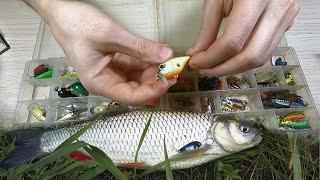 Top of my lures for catching Chub! Wobblers, turntables... Fishing