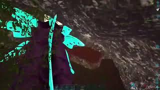 Beach Bobs Fibercraft 1000x
