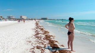 Siesta Key Beach, Sarasota, Florida | Walking Tour