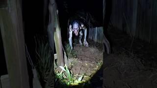 scary videos #scary #horror #movie #scaryvideos #ghost #monster #animals #nightmare #terrifying