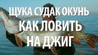 ЛОВЛЯ на ДЖИГ ЩУКИ, ОКУНЯ, СУДАКА. РЫБАЛКА в НИЖЕГОРОДСКОЙ ОБЛАСТИ на СПИННИНГ