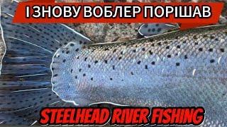 РИБА повна ікри! Steelhead fishing on the Erie tributaries! Риболовля на СТІЛХЕДА із спінінгом!