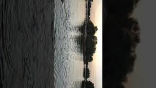 JesterPro CAMP - Flamingo View
