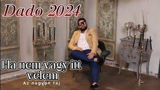 Dado 2024 - Ha nem vagy itt velem az nagyon fáj  | Dado Gipsy Music