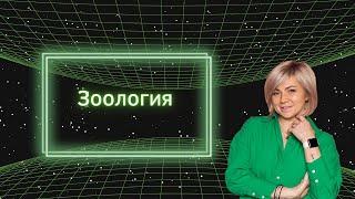 ВСЯ ЗООЛОГИЯ за ЧЕТЫРЕ ЧАСА