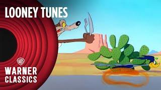 Looney Tunes | Fast and Furry-ous | 1949 Full Episode | Warner Classics