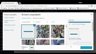 Видео урок: Размещение записи, загрузка товара на сайт WpShop в WordPress