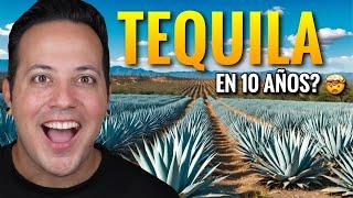 DESCUBRIENDO Mexico!  Cómo se TRANSFORMA el Agave en TEQUILA!