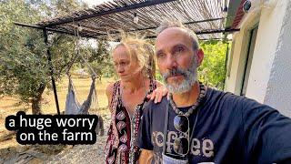 VERY WORRYING TIMES on our OFF GRID HOMESTEAD and IT'S 40 DEGREES! (PORTUGAL)