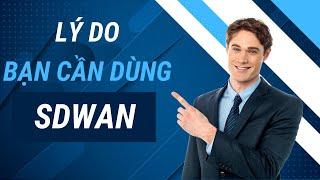 Các lý do bạn cần sử dụng SDWAN