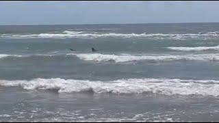 WATCH: Man captures shark on camera before attack on South Padre Island