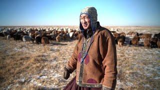 Climate change forces Mongolia's herders to move to the city