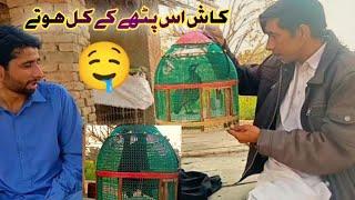 kash Is Pathe k Kil Hote  Village life  #vlog Siyal Aijaz Vlogs