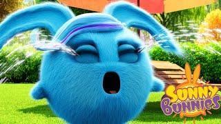 Funny Cartoons for Children | Sunny Bunnies - CRYING BUNNY | Cartoons For Children