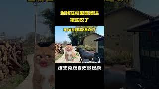当我在村里面溜达被蛇咬了 #猫meme #搞笑 #猫meme小剧场