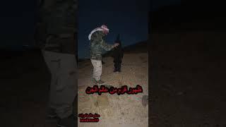 #البحث_عن_الكنوز