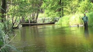 Секретные водоёмы Беларуси. Best fishing venues of Belarus.