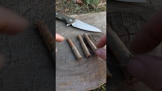 ️ Survival bushcraft skills:  Unexpected find #bushcraft #survival #camping #outdoors #lifehack