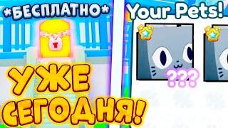УЖЕ СЕГОДНЯ!? НОВОЕ ОБНОВЛЕНИЕ В PET SIMULATOR X НОВЫЕ HUGE ПЕТЫ КАК ПОЛУЧИТЬ HUGE Cat Chef ROBLOX