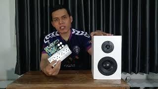 DIY Amplifier Speaker Monitor Recording - Merakit Ampli Speaker Flat LM1875 + TDA7294 2 Way