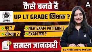 UP LT Grade New Vacancy 2025 | UP LT Grade Eligibility Criteria, Exam Pattern, Post, Exam Date